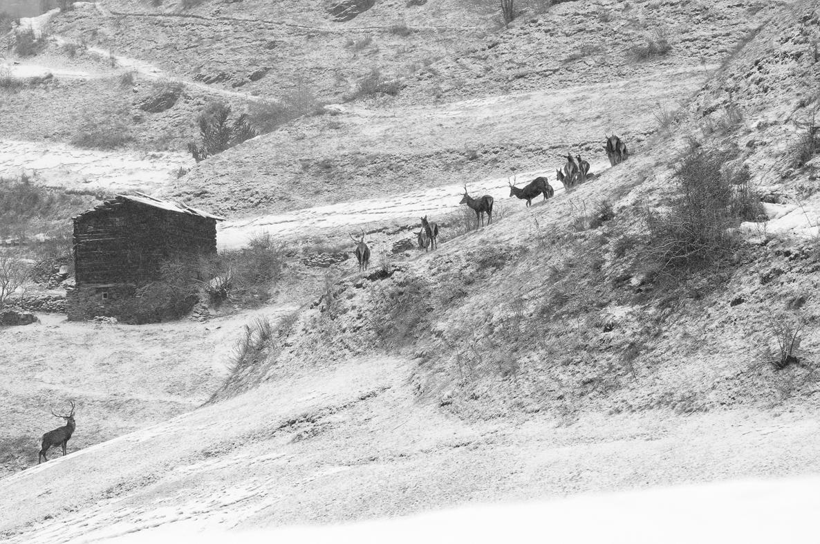 شقة Casa Le Rondini فالديسوتو المظهر الخارجي الصورة